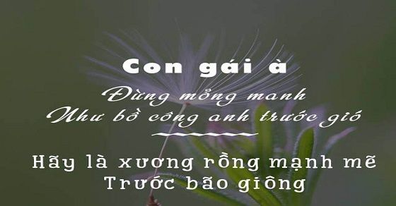 999+ Stt hay về cuộc sống cực ý nghĩa nên đọc một lần trong đời