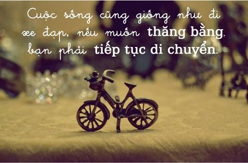 Những Stt hay về cuộc sống ý nghĩa nhất làm thay đổi cuộc đời bạn 