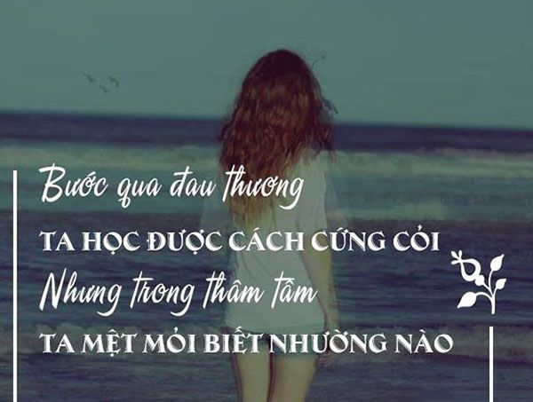 Những Stt tâm trạng ngắn vực dậy tinh thần của bạn nhanh chóng 