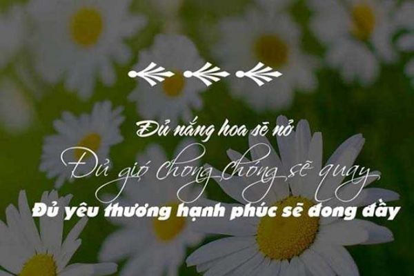 Những Stt tâm trạng vui vẻ hài hước khiến bạn yêu đời hơn 