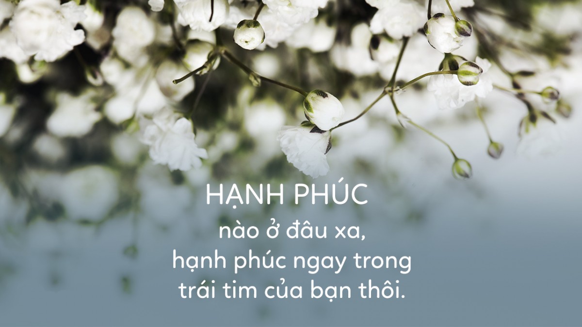 Những Stt thanh xuân hài hước đáng xem nhất mọi thời đại 