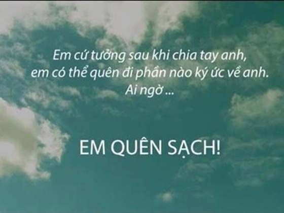 1001 Stt chửi xéo cay cú, càng nghe càng đã nhất hay mọi thời đại 