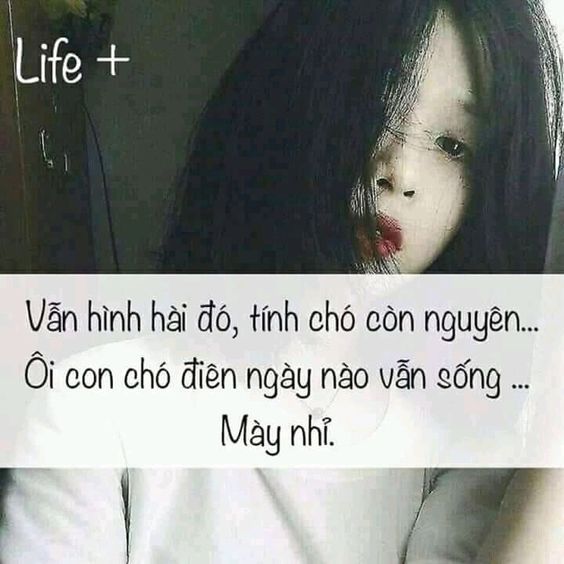 Những Stt chửi xéo có văn hóa cực thâm càng nghe càng thấm