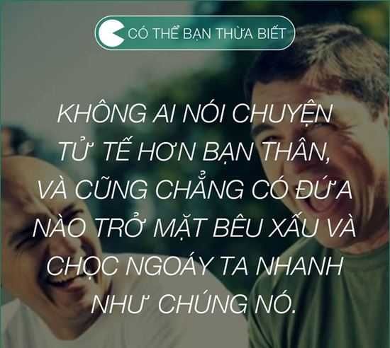 Những Stt hay về bạn bè ý nghĩa và chân thành làm rung động trái tim bạn