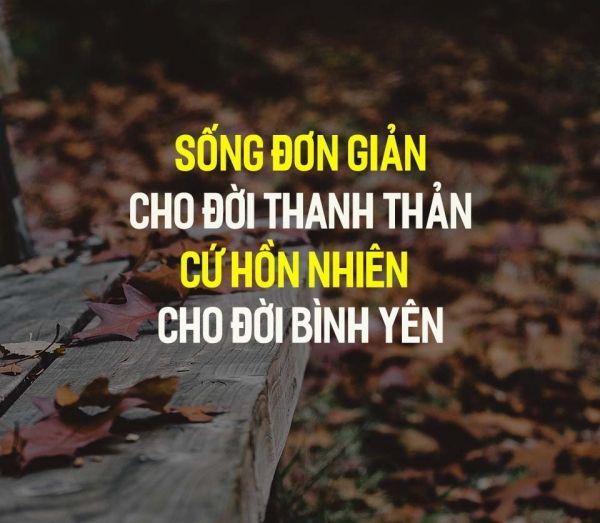 Tuyển tập những câu nói hay ngắn gọn về tình yêu cuộc sống 