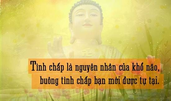 Những câu nói hay của phật ý nghĩa nhất làm thay đổi cuộc đời bạn