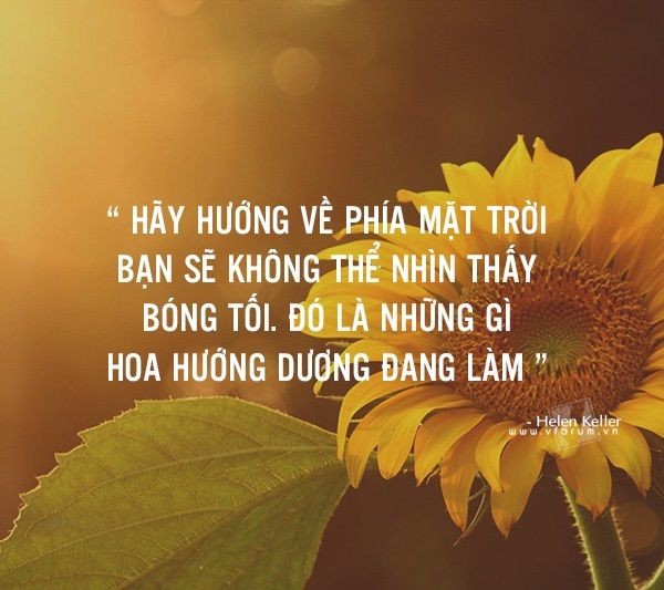 Những câu nói hay về sự cho đi khiến trái tim bạn thổn thức