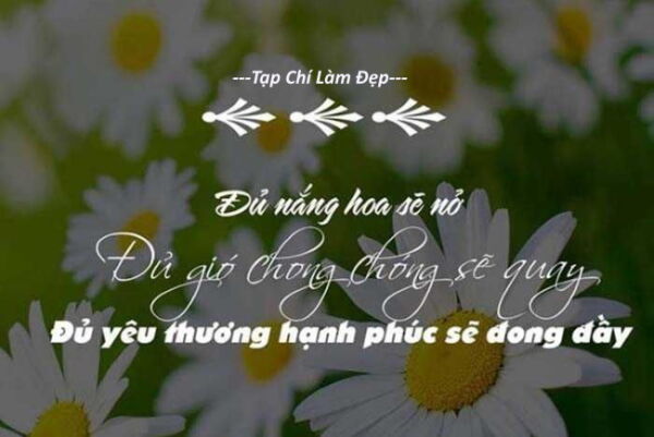 Châm ngôn cuộc sống và tình yêu