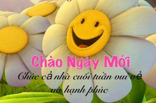 Những lời chúc cuối tuần hài hước và dí dỏm cho bạn bè, người yêu 