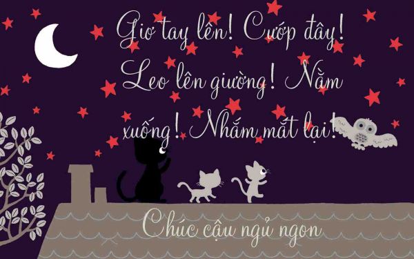 Những tin nhắn chúc ngủ ngon lãng mạn và ngọt ngào hay nhất