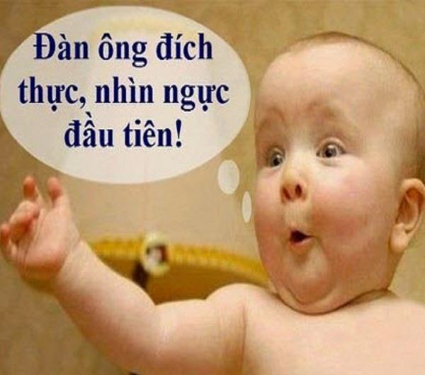 Trọn bộ 99+ ảnh troll khó đỡ nhất khiến bạn bè phải khóc thét