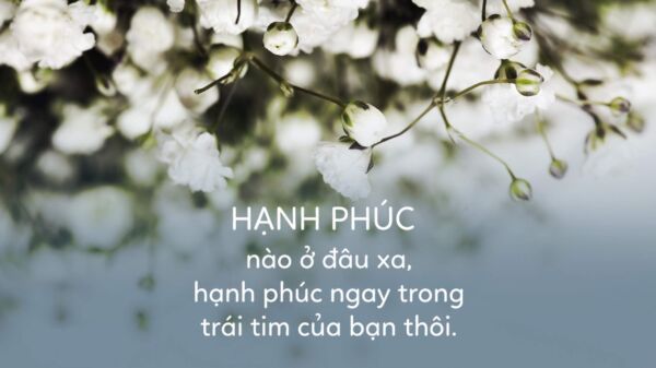 Cap thả thính mùa đông ngắn gọn