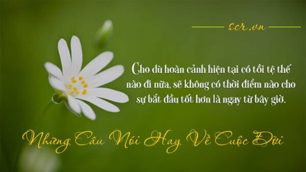 Cap về cuộc sống yêu đời