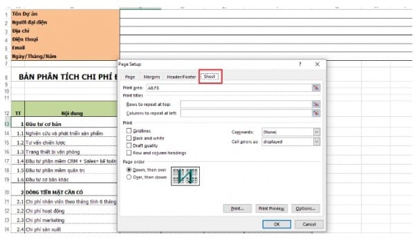 Cách tái diễn title nhập Excel 2010 