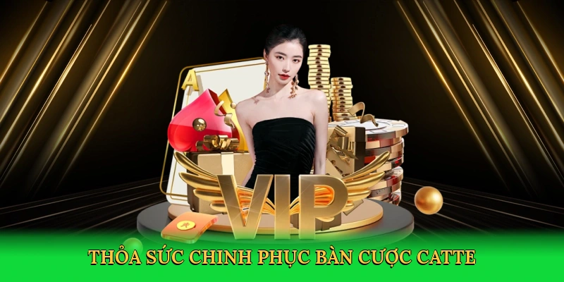 Cách Chơi Catte - Bí Quyết Thắng Lớn Tại K8CC 2 Cách Chơi Catte – Bí Quyết Thắng Lớn Tại K8CC