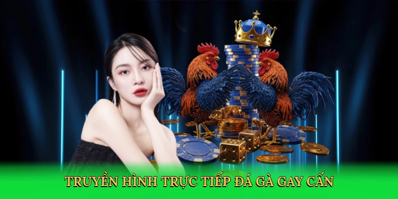 Đá Gà Thomo - Đam Mê Cá Cược Đỉnh Cao Tại GI8 2 Đá Gà Thomo – Đam Mê Cá Cược Đỉnh Cao Tại GI8