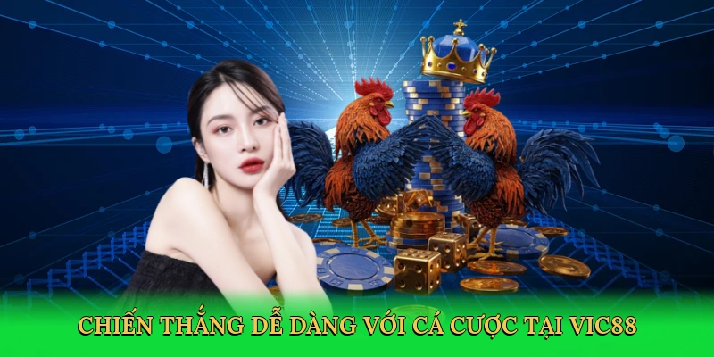 Cách Vô Mồi Cho Gà Đá – Bí Kíp Chiến Thắng Tại Vic88 3 Chiến thắng dễ dàng với cá cược tại Vic88